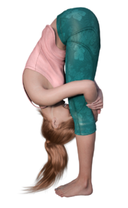 Standing Forward Bend